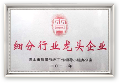 Leading enterprises in segmented industries